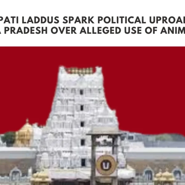 Tirupati Laddus Spark Political Uproar in Andhra Pradesh Over Alleged Use of Animal Fat