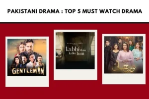 Pakistani Drama : Top 5 Must Watch Drama