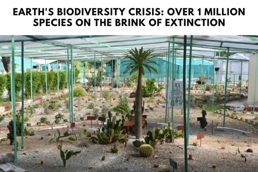 Earth's Biodiversity Crisis: Over 1 Million Species on the Brink of Extinction