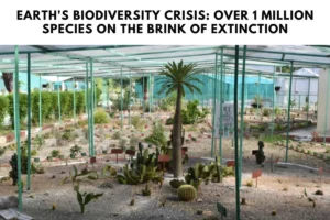 Earth's Biodiversity Crisis: Over 1 Million Species on the Brink of Extinction