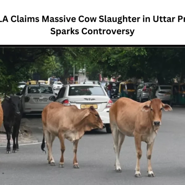 BJP MLA Claims Massive Cow Slaughter in Uttar Pradesh, Sparks Controversy