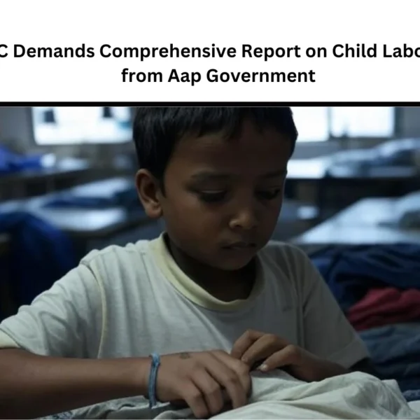 Delhi HC Demands Comprehensive Report on Child Labour Action from Aap Government